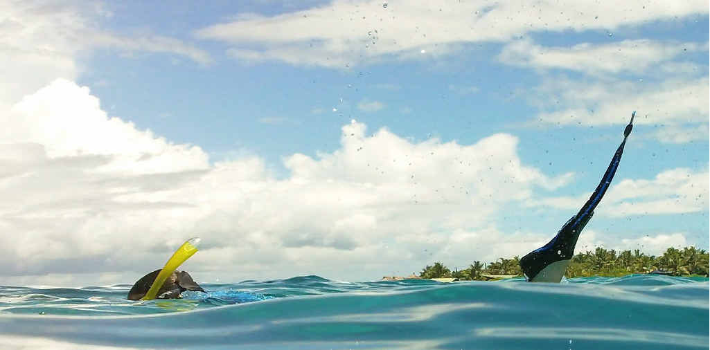 Enjoy your time in Fiji snorkeling in the beautifully clear water. Enjoy your time in Fiji snorkeling in the beautifully clear water.